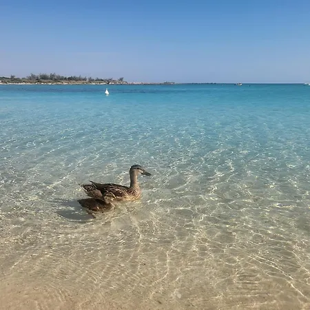 Lägenhet Bilo Cisaria Porto Cesareo